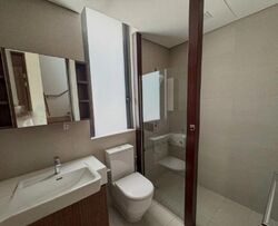 Shamrock Park (D10), Terrace #496531901